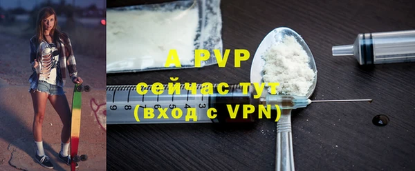 apvp Белокуриха