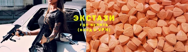 индика Богородицк
