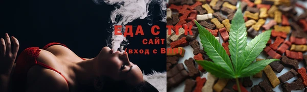 индика Богородицк