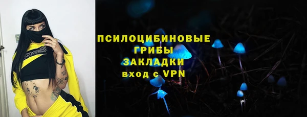 apvp Белокуриха
