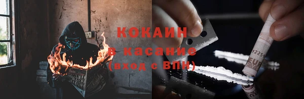 индика Богородицк