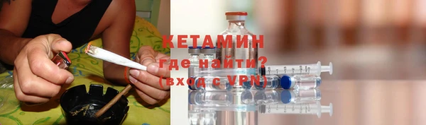 индика Богородицк
